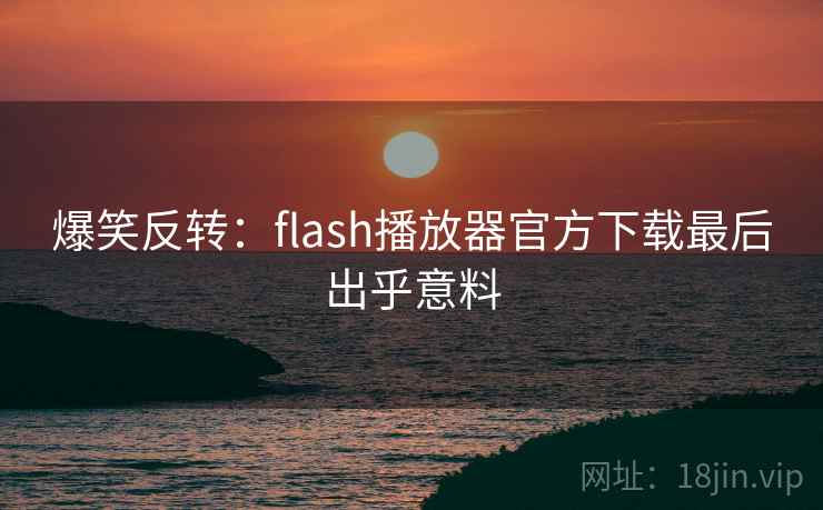 爆笑反转：flash播放器官方下载最后出乎意料