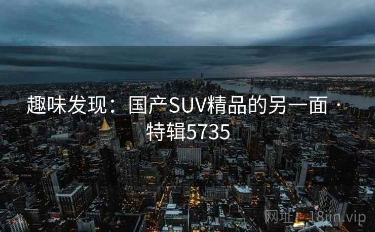 趣味发现：国产SUV精品的另一面 · 特辑5735