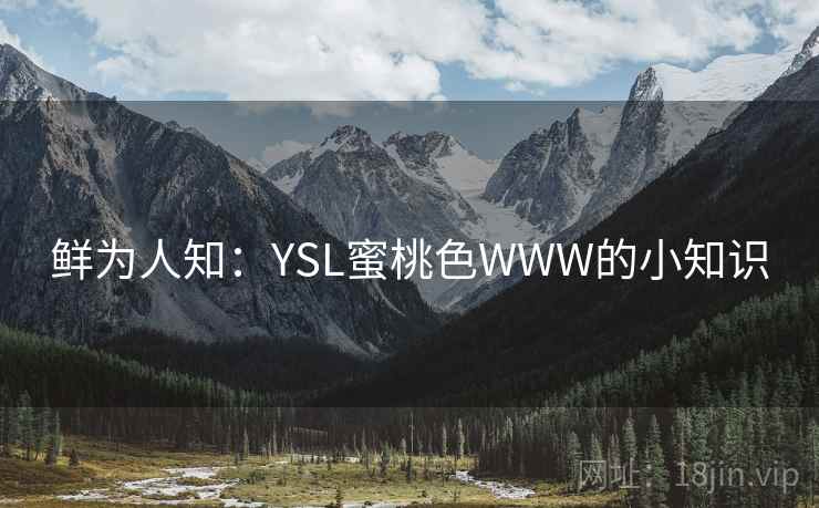 鲜为人知:YSL蜜桃色WWW的小知识