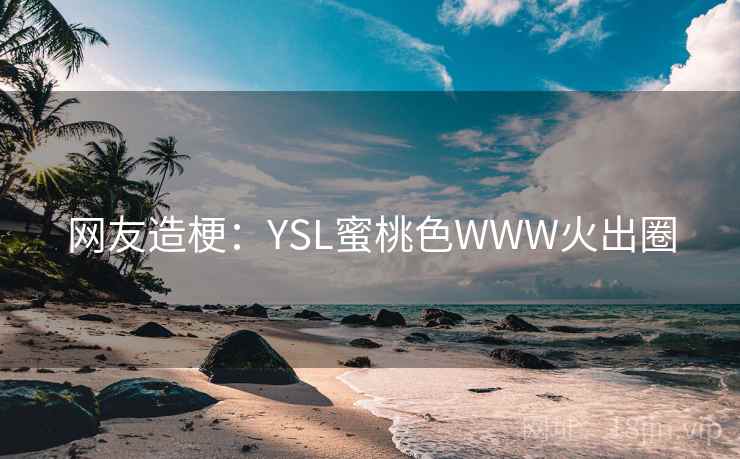 网友造梗:YSL蜜桃色WWW火出圈